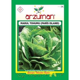 Arzuman Paris Island 7000 Adet Marul Tohumu