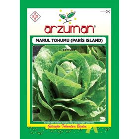 Arzuman Paris Island 7000 Adet Marul Tohumu