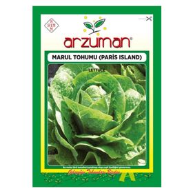 Arzuman Paris Island 7000 Adet Marul Tohumu
