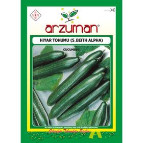 Arzuman S.Beith Alpha Salatalık Hıyar Tohumu