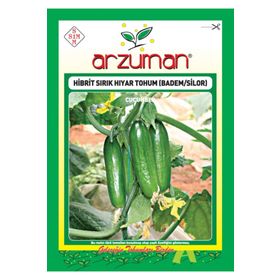 Arzuman Salatalık Nasuhi Hibrit Sırık Hıyar Tohumu