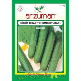 Arzuman Salatalık Nasuhi Hibrit Sırık Hıyar Tohumu