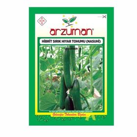 Arzuman Salatalık Nasuhi Hibrit Sırık Hıyar Tohumu