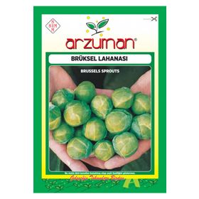 Arzuman Sebze Brüksel Lahana Tohumu