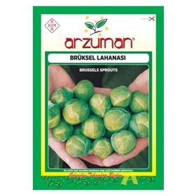 Arzuman Sebze Brüksel Lahana Tohumu