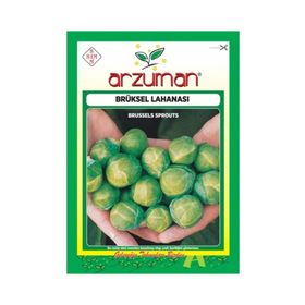 Arzuman Sebze Brüksel Lahana Tohumu