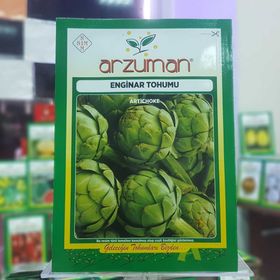Arzuman Sebze Enginar Tohumu