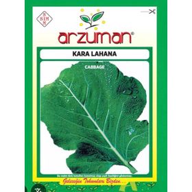 Arzuman Sebze Kara Lahana Tohumu