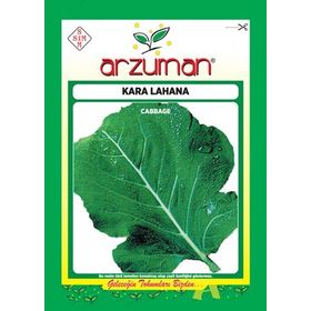 Arzuman Sebze Kara Lahana Tohumu