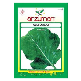 Arzuman Sebze Kara Lahana Tohumu