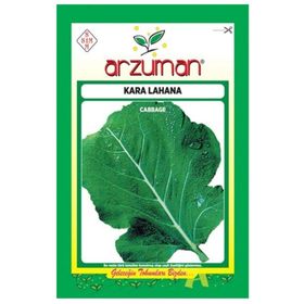 Arzuman Sebze Kara Lahana Tohumu