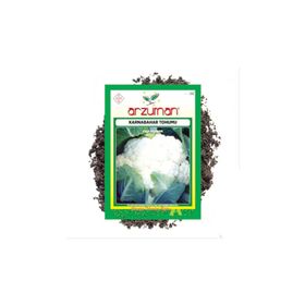 Arzuman Sebze Karnabahar Tohumu