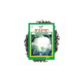 Arzuman Sebze Karnabahar Tohumu
