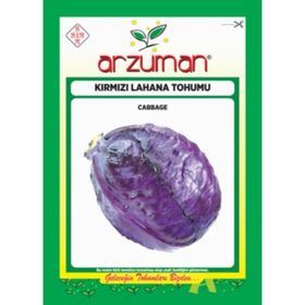 Arzuman Sebze Kırmızı Lahana Tohumu