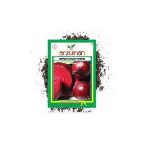 Arzuman Sebze Kırmızı Pancar Tohumu
