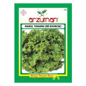 Arzuman Sebze Kışlık Marul Tohumu