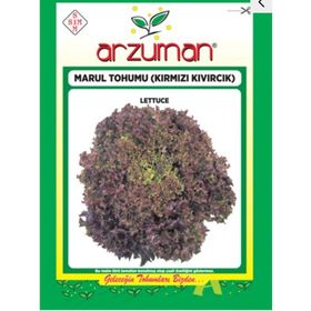 Arzuman Sebze Kışlık Marul Tohumu