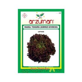Arzuman Sebze Kışlık Marul Tohumu