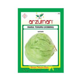 Arzuman Sebze Kışlık Marul Tohumu
