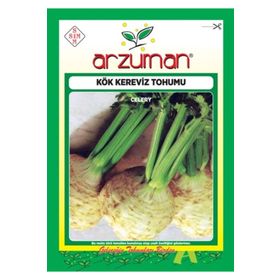 Arzuman Sebze Kök Kereviz Tohumu