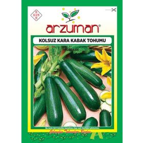 Arzuman Sebze Kolsuz Kara Kabak Tohumu