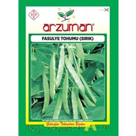 Arzuman Sebze Sırık Fasulye Tohumu