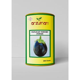 Arzuman Sebze Topan Patlıcan Tohumu