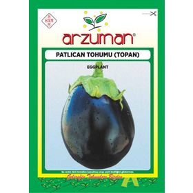 Arzuman Sebze Topan Patlıcan Tohumu