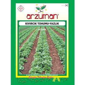 Arzuman Sebze Yazlık Kıvırcık Marul Tohumu