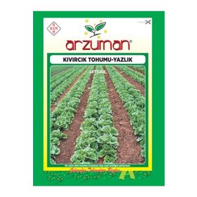 Arzuman Sebze Yazlık Kıvırcık Marul Tohumu