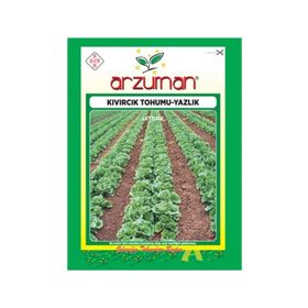 Arzuman Sebze Yazlık Kıvırcık Marul Tohumu