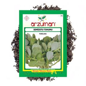 Arzuman Semizotu İri Yapraklı 10 gr Tohum