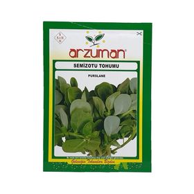 Arzuman Semizotu İri Yapraklı 10 gr Tohum