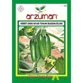 Arzuman Silor Badem F1 Sırık 10 Adet Hıyar Tohumu