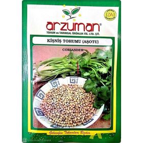 Arzuman Süs Bitki Hanım Düğmesi Çiçek Tohumu
