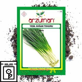 Arzuman Yeşil Soğan Tohum