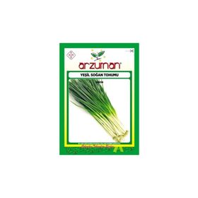 Arzuman Yeşil Soğan Tohum