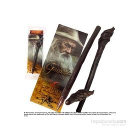 ASA - HASAN AYCIN