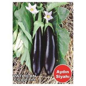Asgen Aydın Siyahı Patlıcan Tohumu