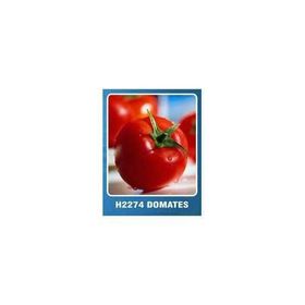 Asgen H-2274 10 gr Domates Tohumu