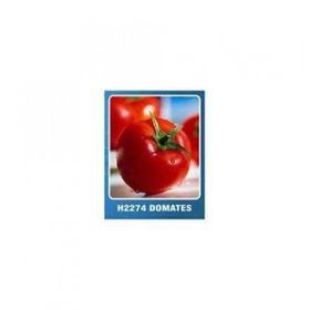 Asgen H-2274 10 gr Domates Tohumu