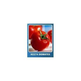 Asgen H-2274 10 gr Domates Tohumu