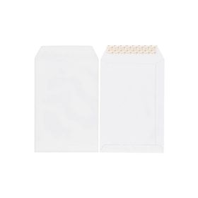 Asil 110 gr 500'lü 17x25 cm Extra Torba Zarf