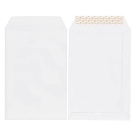 Asil 110 gr 500'lü 17x25 cm Extra Torba Zarf