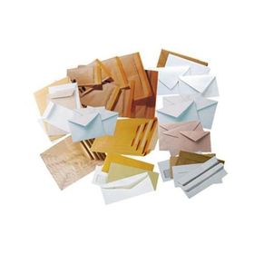 Asil 24x32 90 gr 250'li Torba Zarf