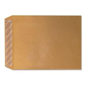 Asil AS-0879 Formula 100 gr 250'li 32x42 cm Torba Zarf