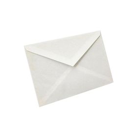 Asil Doğan 110 gr 11.4 cm x 16.2 cm 100'lü Mektup Zarfı