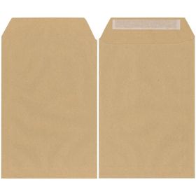 Asil Formula 170x250 mm 100 gr 100'lü Torba Zarf