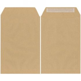 Asil Formula 170x250 mm 100 gr 100'lü Torba Zarf