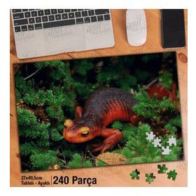 Asil Hobi Amazon-Kertenkele-Vahşi Yaşam Doğa Yapboz-Ayak Destekli Çerçeveli 240 Parça Puzzle